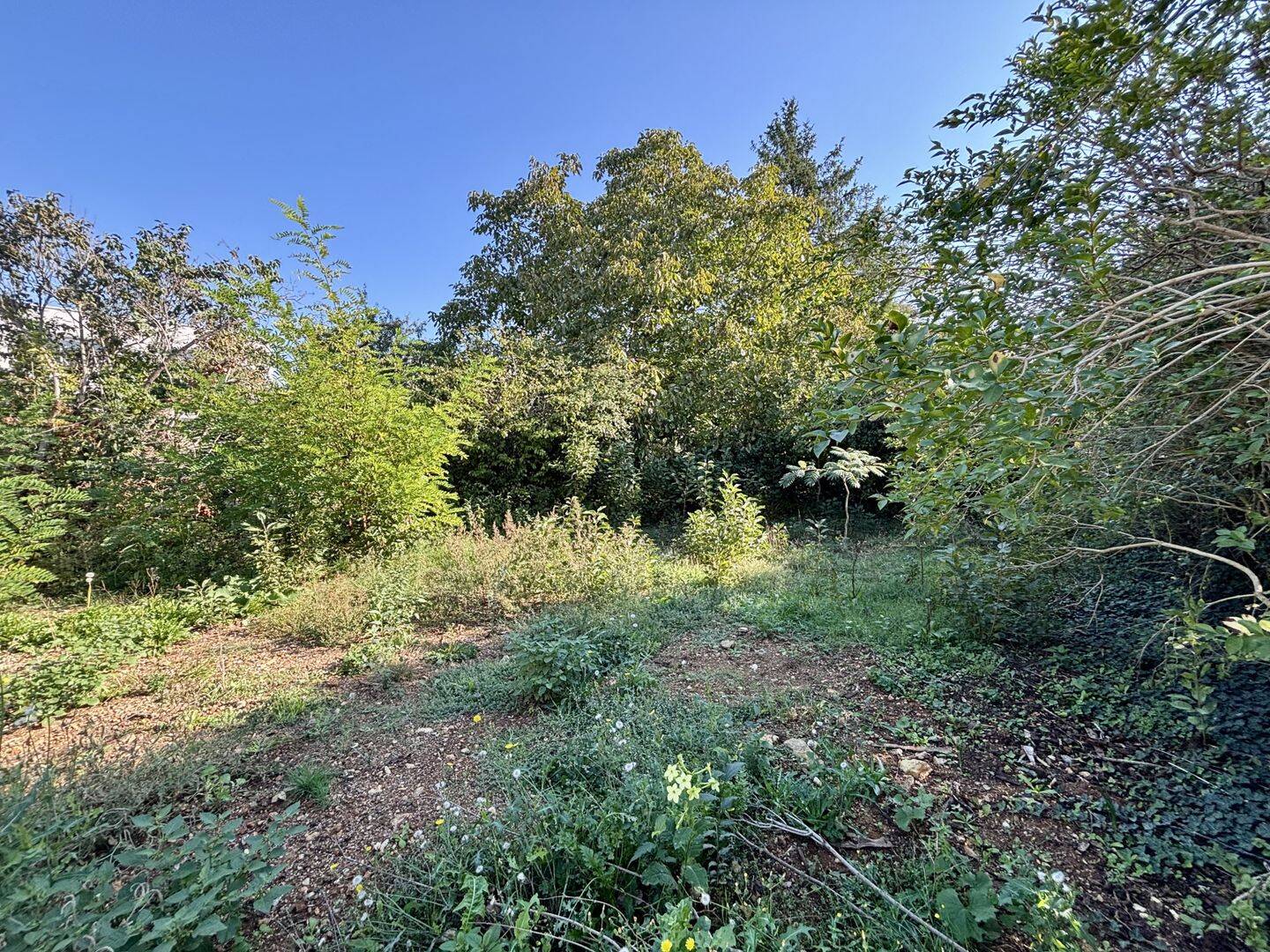 Jardin - terrain à Saint-Benoît