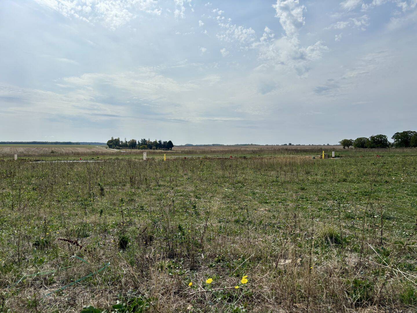 Jardin - terrain à Vouillé